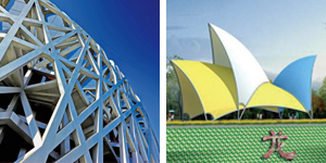 新疆楓樺木實木運動地板厚度