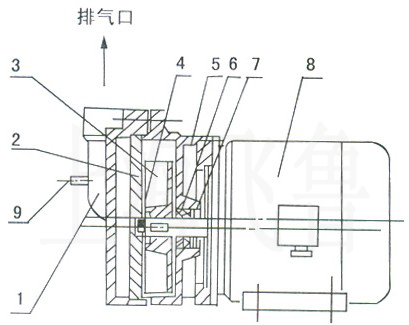 上海專業體育木地板工廠